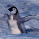 Image for article titled Penguin poop can be seen from space